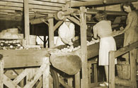 women packing peaches in the late 1940s
